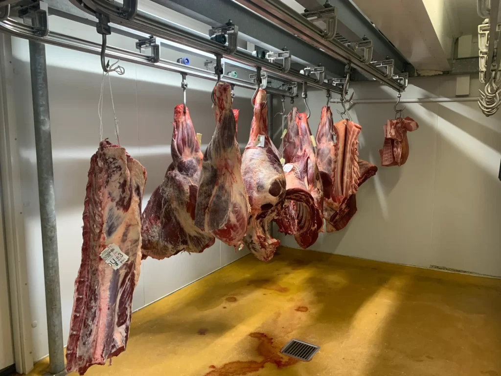 Plusieurs gros morceaux de bœuf suspendus à des croachets dans un casier à viande, le sol taché et un drain visible.